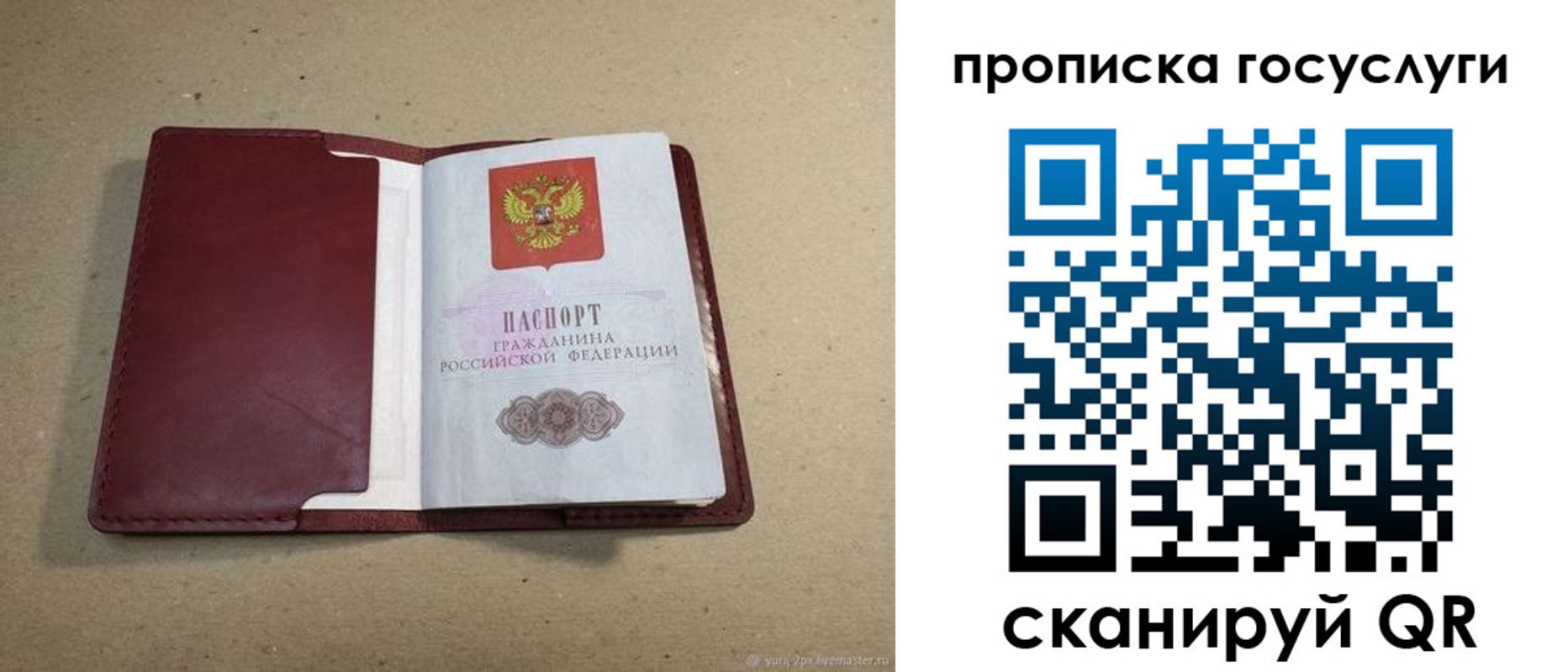 прописка поиск в Новозыбкове